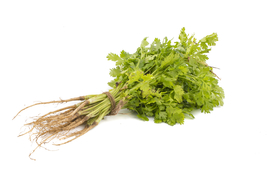 香菜