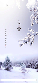 大雪海报