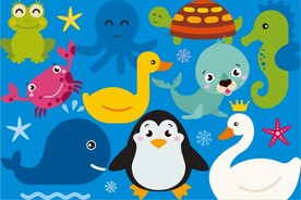 动物合影 上拾叁