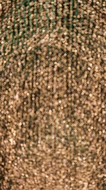 圣诞节 圣诞节装饰 圣诞节元素