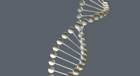C4D 模型DNA基因