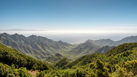 风景