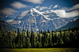 风景