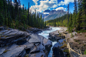 风景
