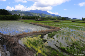 风景