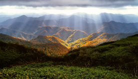 风景