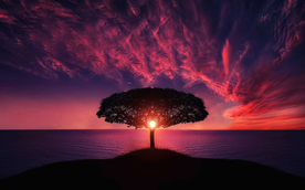 夕阳