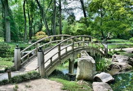 风景
