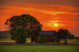 夕阳