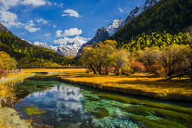 风景