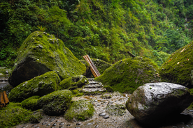 风景