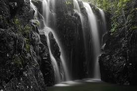 风景