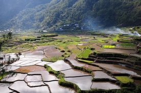 风景