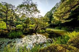 风景
