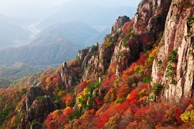 风景