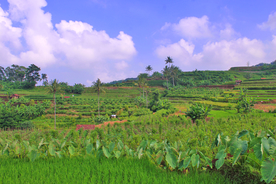风景