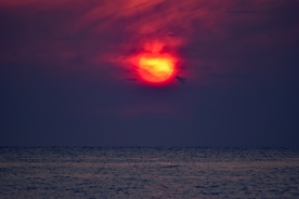 夕阳