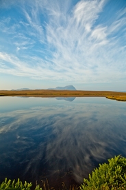 风景
