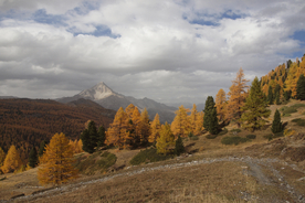 风景