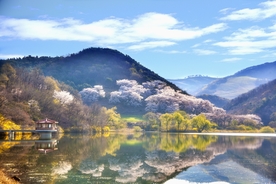 风景
