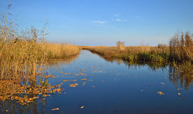 风景