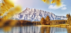 风景
