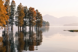 风景