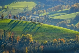 风景