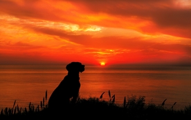 夕阳