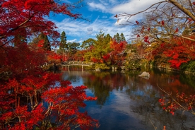 风景