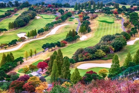 风景