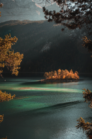 风景