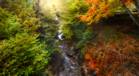 风景