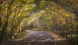 风景