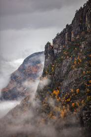 风景