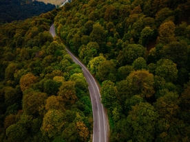 风景