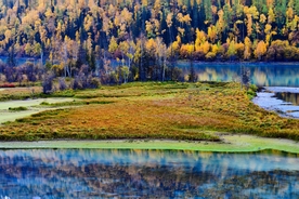 风景