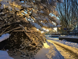 雪景