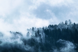 风景
