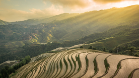 风景