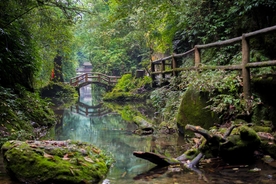风景