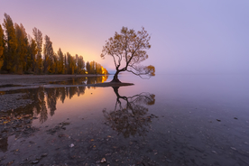 风景