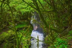 风景