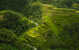风景