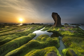 风景