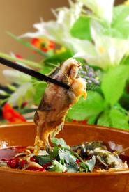 美食