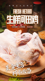 生鲜可田鸡食材活动海报素材