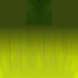 绿色背景
