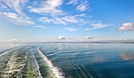 大海