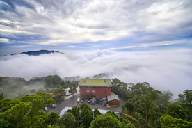 风景